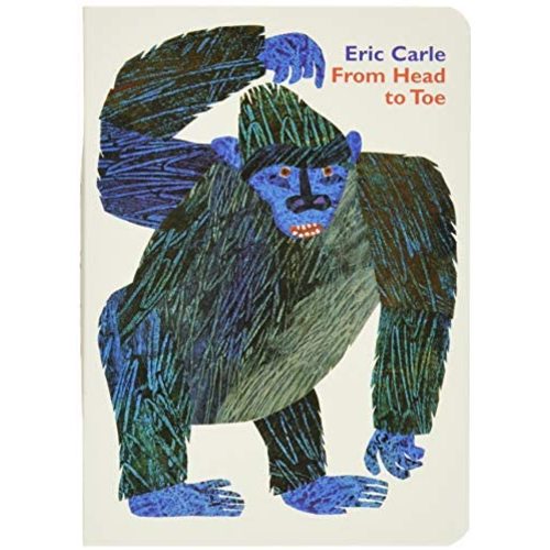 From Head to Toe Board Book