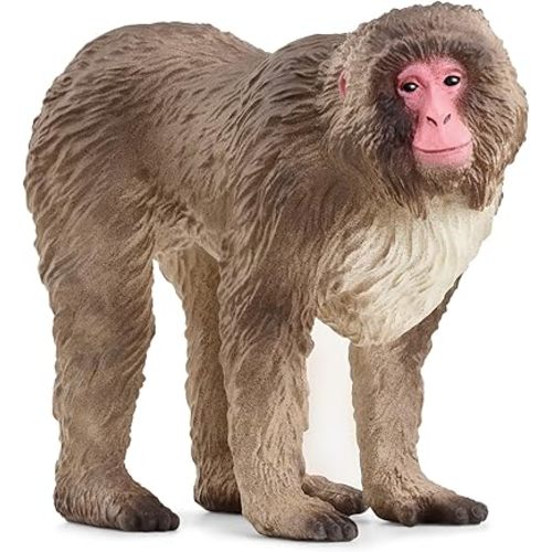Schleich Wild Life New 2024 Wild Animal Toy Japanese Macaque Figurine