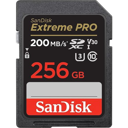 SanDisk 256GB Memory Card