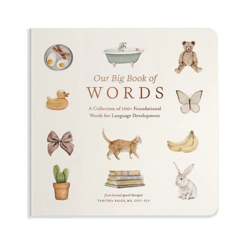 Our Big Book of First Words - (Our Little Adventures) by Tabitha Paige (Board Book)