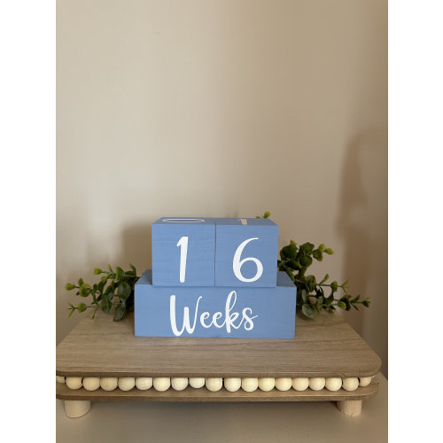 Baby Boy Milestone Blocks