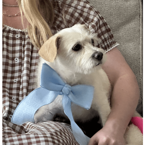 Baby Boy Cash Fund