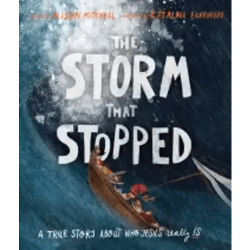 The Storm That Stopped (Hardback) by Alison Mitchell