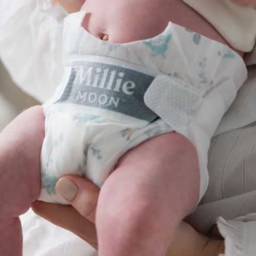 Babylist Diaper Fund