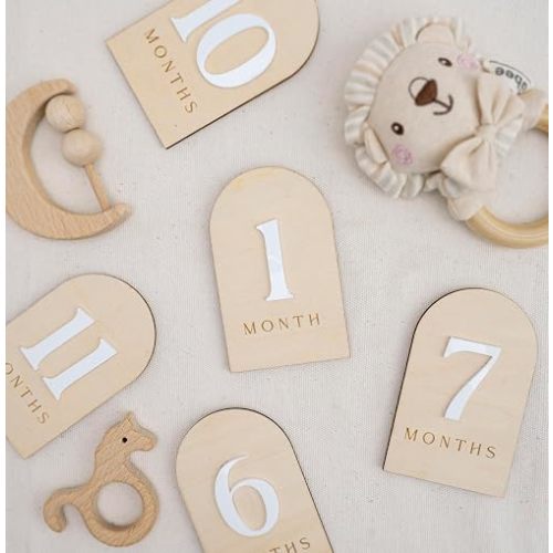 Baby Monthly Milestone Photo Sign, Wooden Floral Design with Pink Bows, Baby Girl Growth Tracker, 1-12 Months (Arch)