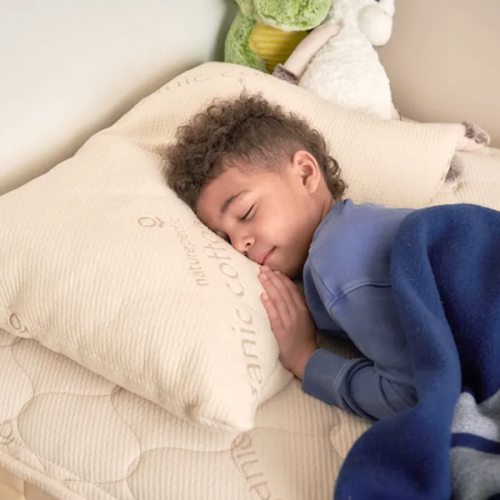 Organic Cotton/PLA Pillow for Kids | Naturepedic