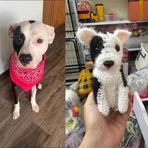 Look Alike Dog, Custom Crochet Doll, Custom Stuffed Dog, Personalized Pet Gifts, Crochet Dog, Pet Memorial, Dog Mom, Dog Portrait, Plush Dog