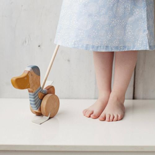 Wooden Push Toy 1 Year Old Gift, Eco Friendly Push Along Duck Toy
