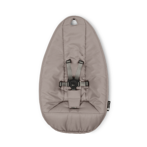 mamaRoo® Multi-motion Baby Swing