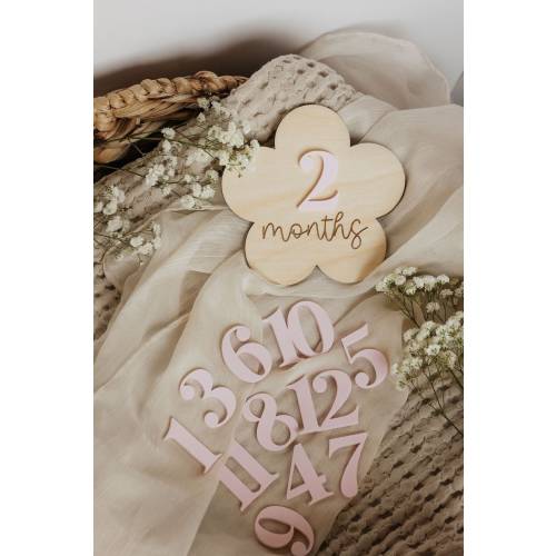 Baby Monthly Milestones [set w/ interchangeable numbers]