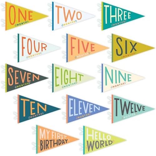 Lucy Darling Petit Milestone Pennants, 12 Felt Baby Monthly Milestone Banners for Baby Girl & Boy, Newborn Photography Props & Decor, Felt Pennant Flags, Perfect Baby Shower Gifts (Little Kaleidoscope)