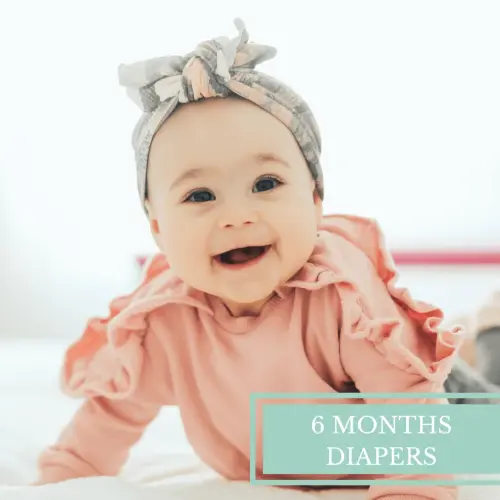 6 Months Diaper Subscription - Baby Showers By Mail