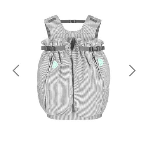 The Weego TWIN Baby Carrier