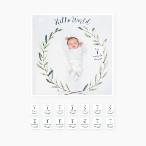 Lulujo Blanket and Milestone Cards - Hello World