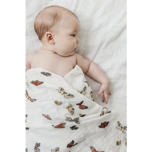 Butterfly Essential Bundle