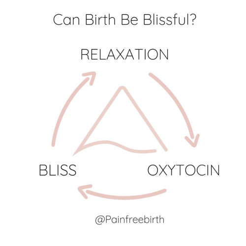 Pain Free Birth | Pain Free Birth