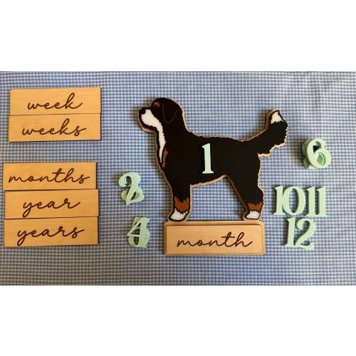Interchangeable Birth Announcement and Milestone Cards, Bernedoodle Markers, Wood & Acrylic Age Photo Prop, Dog Nursey, Baby Shower Gift