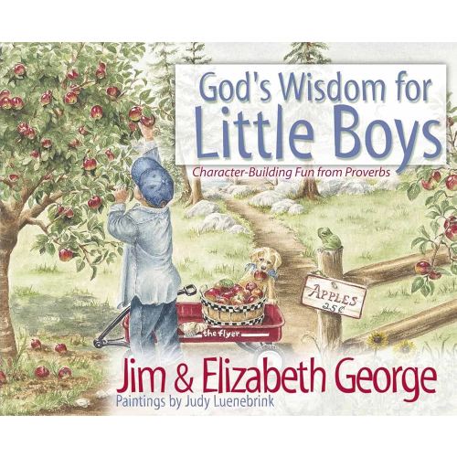 God's Wisdom for Little Boys: Character-Building Fun from Proverbs