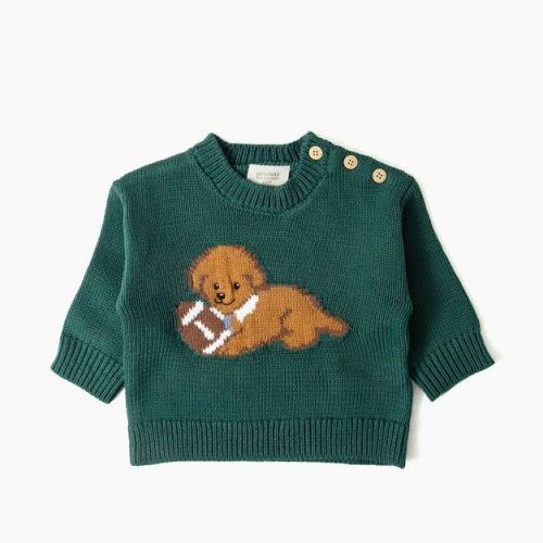 Picolette by Olivia Culpo Baby Boys' Oliver Dog Long Sleeve Crewneck Pullover Sweater - Green 0-3M