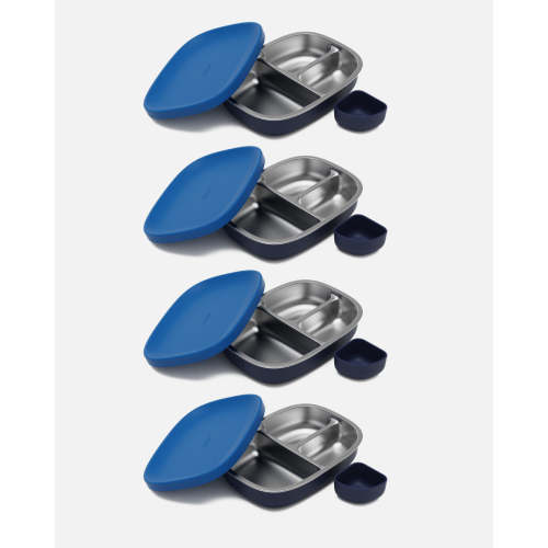 Bento Box - Blue Raspberry / 4 Pack