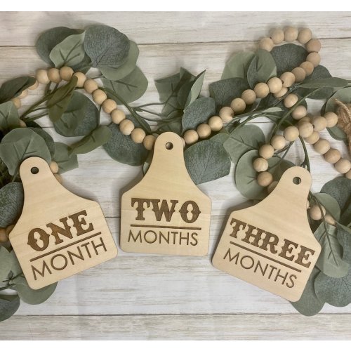 Cattle Tag Milestone Signs/Infant Signs/Monthly Photo Props