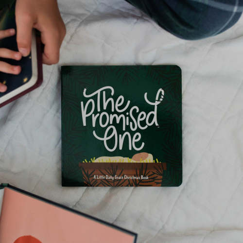 The Promised One - Board Book | TDGC – The Daily Grace Co.