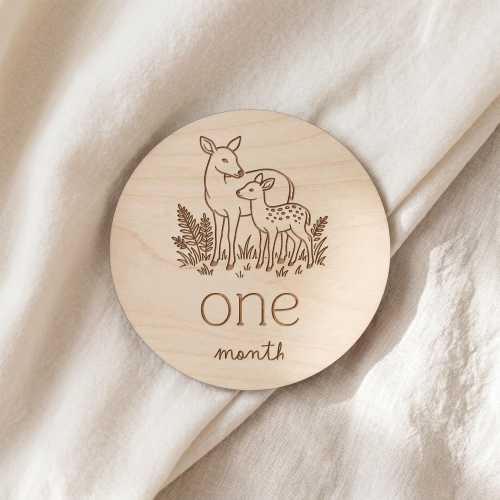 Woodland Animal Baby Milestone Discs – Monthly Photo Props