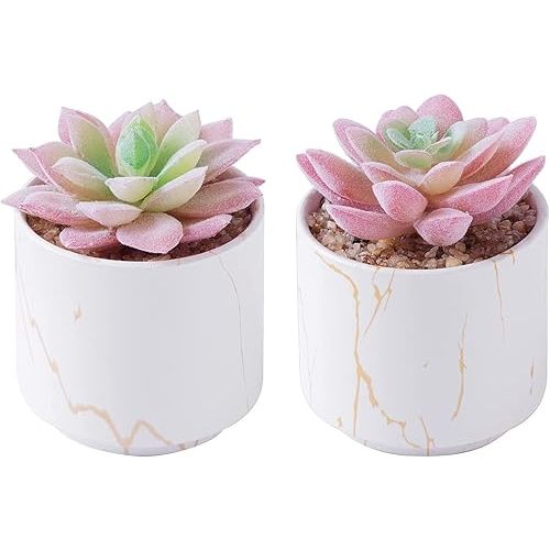 zenmag Succulents Plants Artificial, Mini Fake Succulents in White Ceramic Pots for Desk Livingroom Bathroom and Home Decoration Office Decor for Women Set of 2 Artificial Succulents
