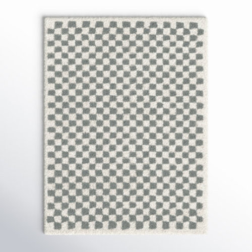 AllModern Walker Checkered Sage/Cream Shag Area Rug | Wayfair