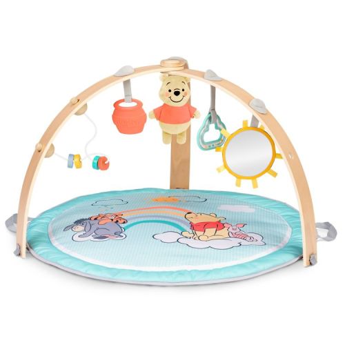 Disney Baby Winnie the Pooh Hunny Hangout Activity Gym - Blue