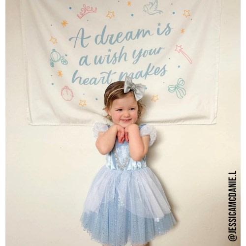 A Dream Is A Wish Your Heart Makes (Neutral) Banner | Glass Slipper Magic Wand Pumpkin Carriage Wall Art | Princess Birthday Party Decor