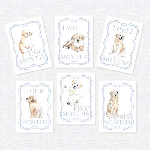 Golden Retriever Milestone Cards, First Year Cards, Monthly Milestone, Golden Retriever Boy Month Cards