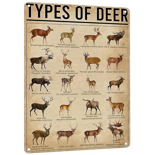 HYBLOM Rustic Types Of Deer Metal Sign, Vintage Farmhouse Wall Art Tin Sign - Hunting Decor & Educational Poster for Home, Man Cave, and Bar 8x12 Inches