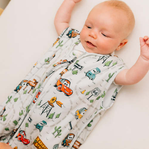 Disney Sleep Bag - Cars – Milk Snob