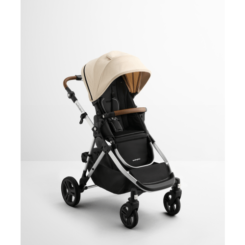 Single-to-Double Stroller 3.0