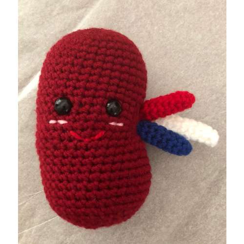 Crochet Kidney, plush kidney, kidney toy, kidney transplant, transplant gift, unique gift, Anatomical kidney pal, educational toy