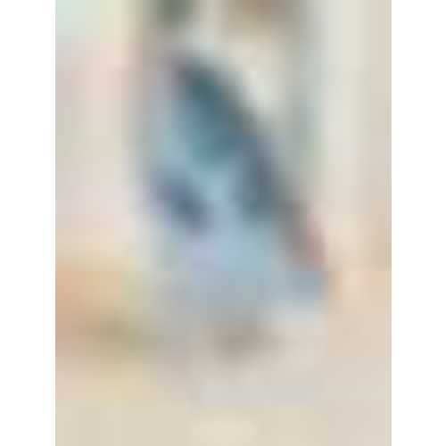 BabyBjörn Extra Fabric Seat for Bouncer Bliss