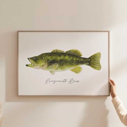 Bass Art Print, Largemouth Bass Print, Fishing Decor, Largemouth Watercolor Bass Art Print, Fishing Art Print Gift, Lake house Wall Decor