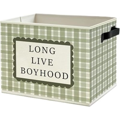 Long Live Boyhood Boys Storage Bins Box with Handles, Sage Green Gingham Plaid Nursery Collapsible Basket Organizer for Kids Boys Room Bedroom Playroom Bathroom Books Clothes