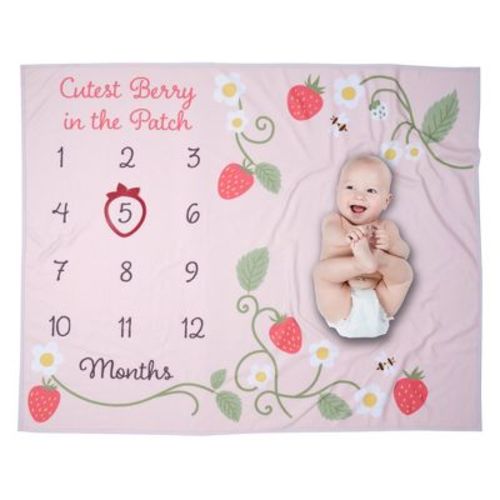 Lambs & Ivy Strawberry Patch Milestone Photo Opportunity Fleece Baby Blanket