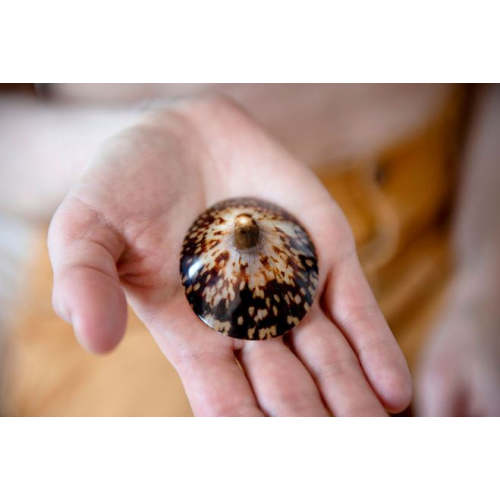 100% Natural Breastfeeding Seashells