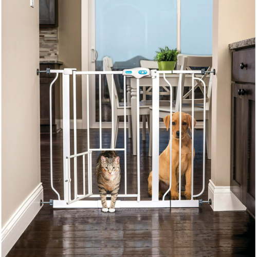 Carlson Pet Products Large Inside House, 31"H Extra-Wide Walk Through Metal Dog Pet Gate, with Small Door, White