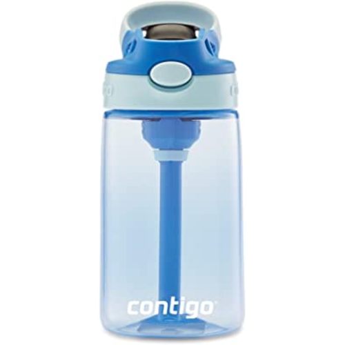 Contigo Aubrey Kids Cleanable Water Bottle with Silicone Straw and Spill-Proof Lid