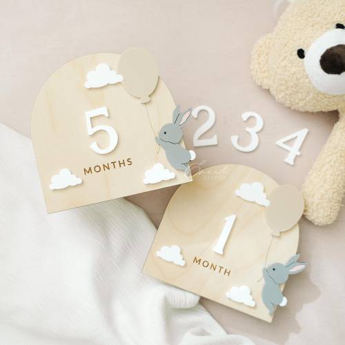 Baby Bunny Milestone Markers, Photo Prop Milestones, Rabbit Nursery Decor, for Baby, Bunny with Balloon, Woodland Theme Gift, Olive Color