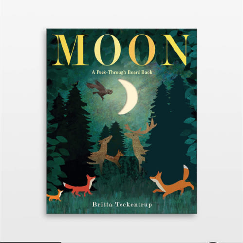 Moon: A Peek-Through Kids Board Book by Britta Teckentrup