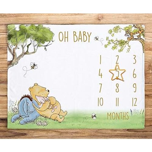 Classic Pooh Baby Milestone Blanket, First Year Monthly Growth Blanket, Winnie with Friends Monthly Blanket, New Mom Gift