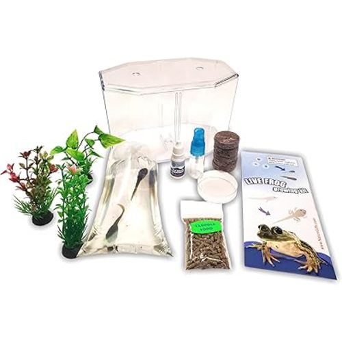 Tadpole to Frog Starter Kit - Includes Certificate for 2 Live Tadpoles - All-in-One Bundle with Habitat, Food, Instructions - Ideal for Education and Home Observation