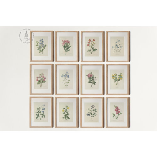 Vintage Botanical Gallery wall Set of 12, Botanical Prints, Vintage Floral Prints, French Country Farmhouse Prints, Pierre Joseph Redoute