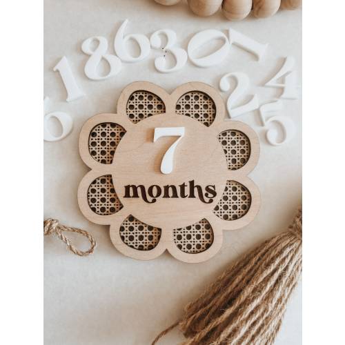 Interchangeable Monthly Milestones, Boho Rattan Monthly Milestones, Wooden Monthly Plaques, Monthly Milestones Photo Prop, Baby Monthly Pics