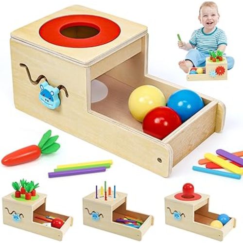 Montessori Toys for 1 Year Old, 6 in 1 Wooden Toys for Baby Boy Girl, Object Permanence Box, Color&Shape Sorting Learning Matching Game, Carrot Harvest, Preschool Educational Gift (New Coin Box)